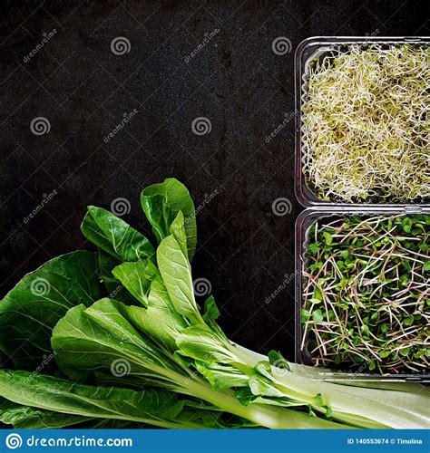 Bok Choy Or Chinese Cabbage And Micro Greens On Black
