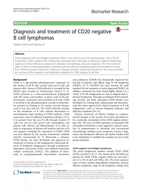 Pdf Diagnosis And Treatment Of Cd20 Negative B Cell Lymphomas