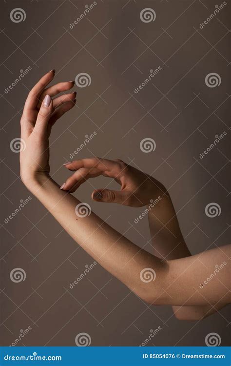 Female Hands Gesturing Stock Photo Image Of Delicate 85054076