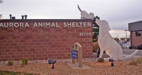 Aurora Animal Shelter Hosts Pet Vaccination And License Clinic May 7