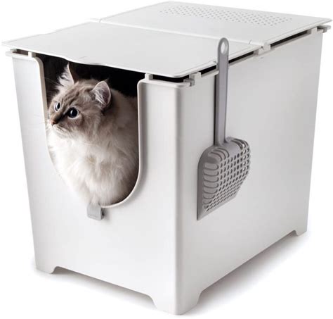 14 Best Dog Proof Cat Litter Box Whydopets