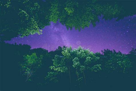 Milky Way And The Trees In A Nice Skyscape Stock Photo Image Of