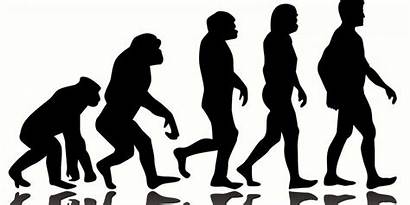 Humans Did Evolve Eating Meat Evolution Livekindly