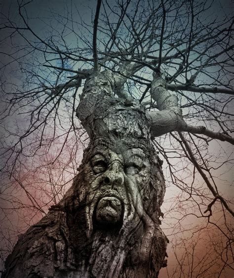 Scary Tree Images