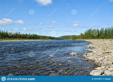 Northern Taiga River In The Polar Urals Stock Image Image Of Flow