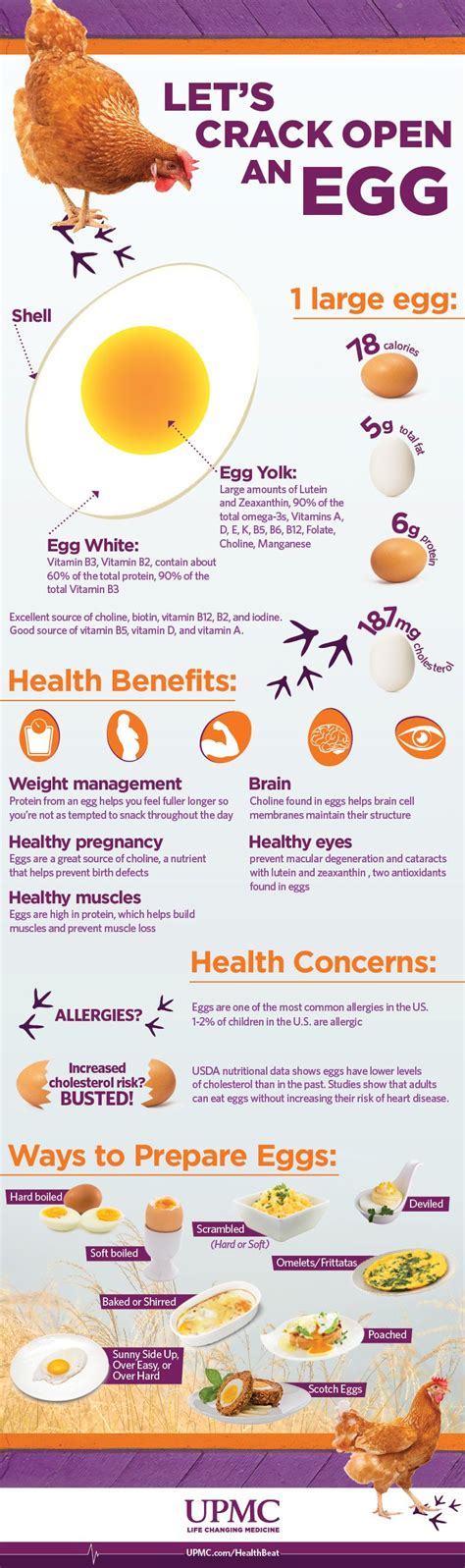 Health Benefits Of Eggs Infographic UPMC HealthBeat Health Benefits Of Eggs Egg Benefits