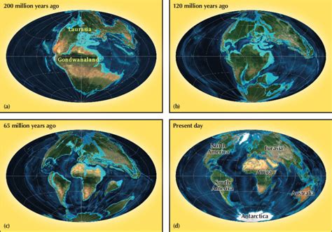 Continental Drift History Of Life On Earth