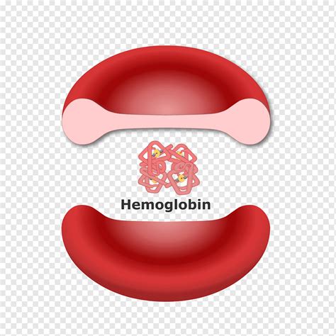 Hemoglobin Red Blood Cell Molecule Heme Red Vial Cell Red Blood Cell