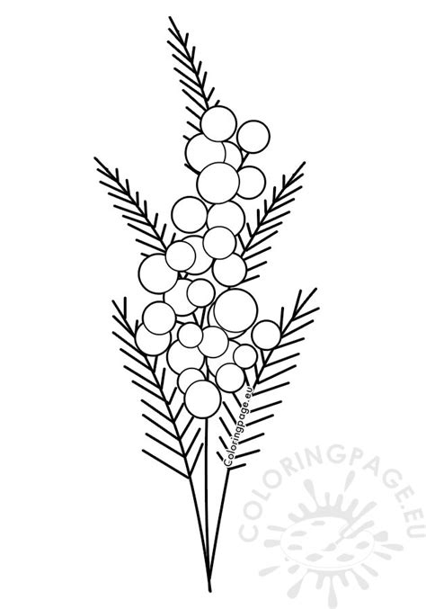Printable Mimosa Branch Coloring Page