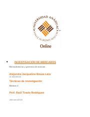 Tarea Técnicas de investigación Alejandra Bouza docx INVESTIGACIÓN DE MERCADOS