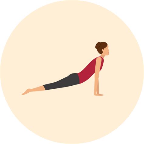 Urdhva Mukha Svanasana Upward Facing Dog Pose — Yoga Alignment Guide