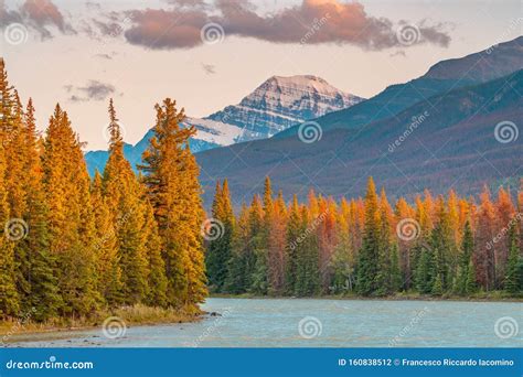 Autumn Landscape In The Canadian Rockies Stock Photo Image Of