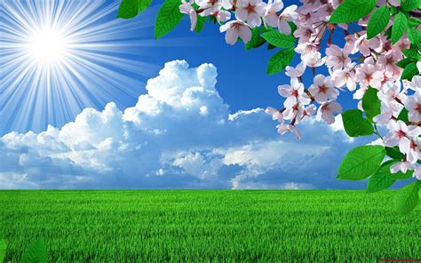 Sunny Spring Nature Wallpapers And Images Wallpapers