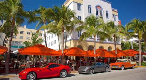 Guided City Tour Of Miami In Miami Book Tours And Activities At