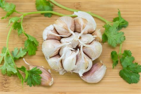 How Much Is A Clove Of Garlic Updated 2023