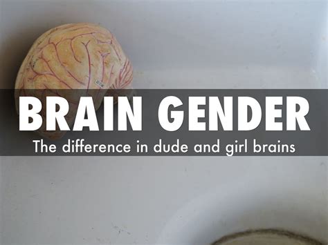 Brain Gender By Josiee Drops07
