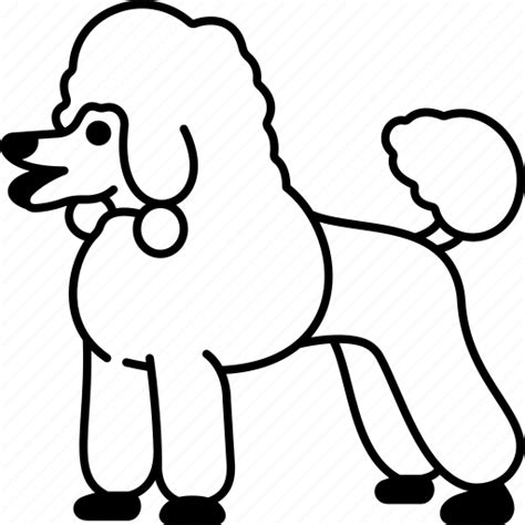Dog Poodle Pet Pedigreed Canine Icon Download On Iconfinder