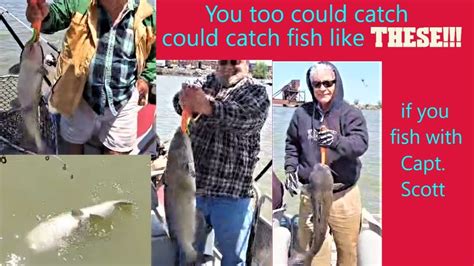 The Best Catfishing Is With Captain Scotts Catfish Charter On The