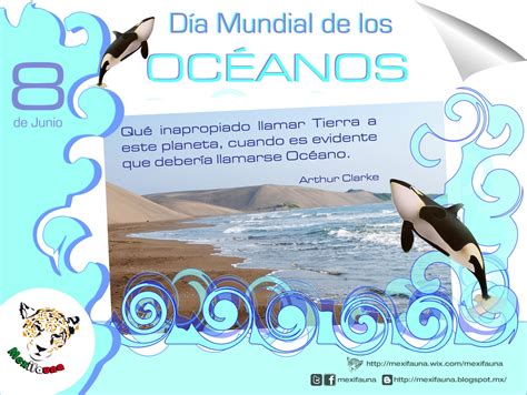 O dia mundial dos oceanos (world ocean day) é celebrado em 8 de junho. MEXIFAUNA: Día Mundial de los Océanos (8 de Junio)