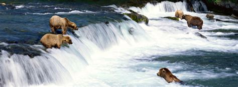 Katmai National Park And Preserve Ak Travel Around Usa
