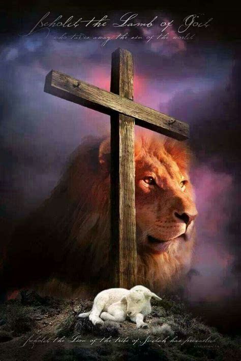 The Lion And The Lamb Lion Of Judah Jesus Lion Of Judah Lion And Lamb
