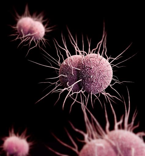 Gonorrhea Is More Dangerous Than Ever As Resistance To Antibiotics
