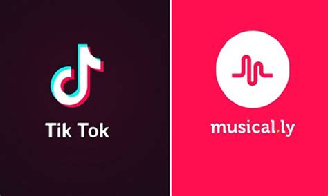 Top 5 Ways To Download Tiktok Musically Videos Instube