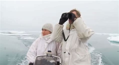 Usgs Scientists Scan The Ice For Resting Walruses Us Geological Survey