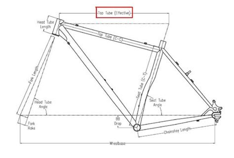 What Size Bike Should I Get And How To Measure Frame Size