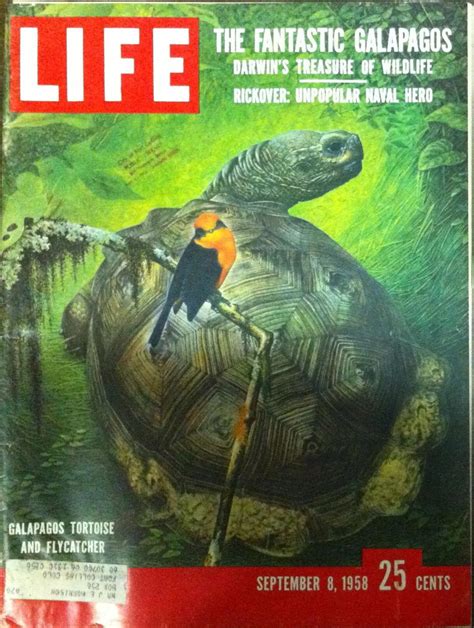 Original Life Magazine From September 8 1958 The Galapagos Islands
