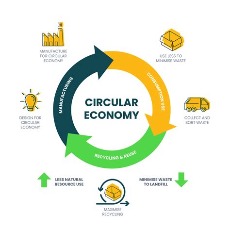 The Vector Infographic Diagram Of The Circular Economy Concept Has