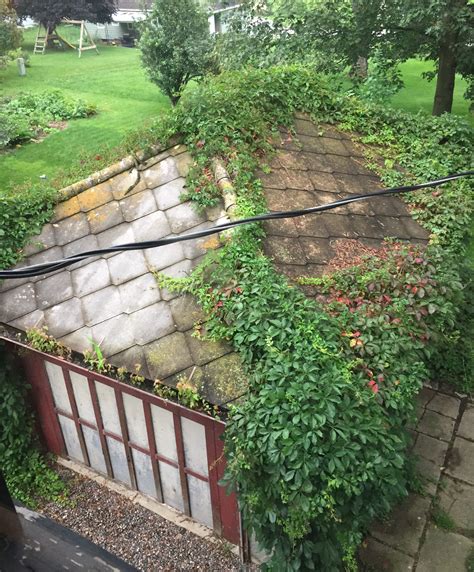 Original Elements The Carriage House And The Virginia Creeper This