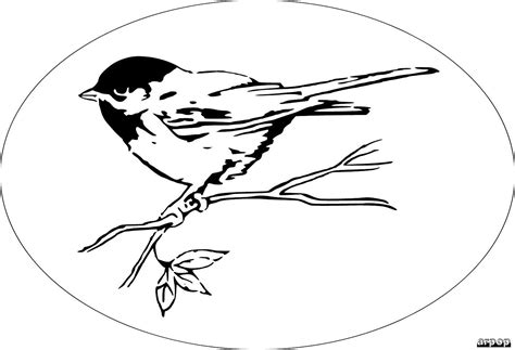Scherenschnittescroll Sawstencil Pattern Bird Scroll Saw Patterns