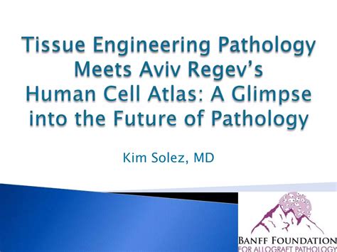 Kim Solez Tissue Engineering Pathology Meets Human Cell Atlas a Glimpse