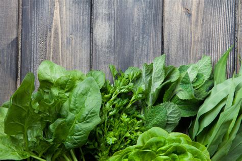 Verduras De Hoja Verde Un Esencial En Tu Dieta Salud Diez