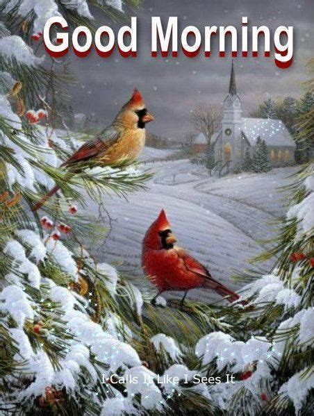 Winter Cardinal Good Morning Quote Pictures Photos And Images For
