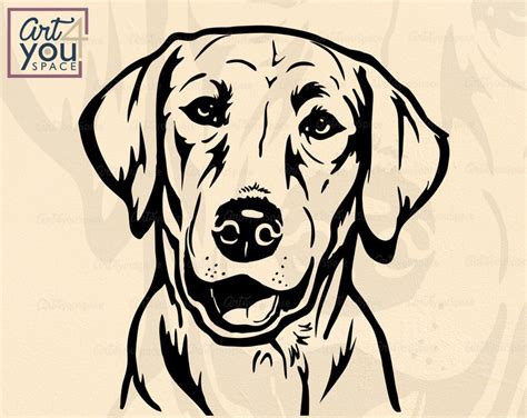 Printable Head Labrador Retriever Svg Cricut Download T Shirt Stencil