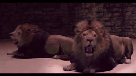 Daniel In The Lions Den Youtube