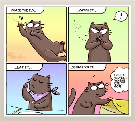 funny cat comics catsu stupid cat cat comics crazy cats