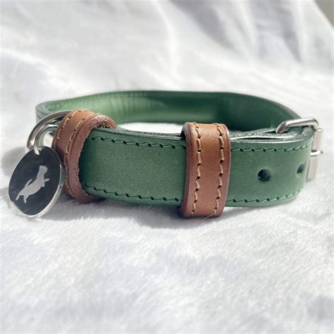 Green Rolled Leather Dog Collar In Your Dog House Ts