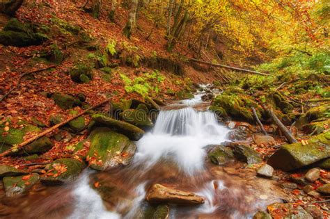 Beautiful Waterfall At Mountain River In Colorful Autumn Forest Stock