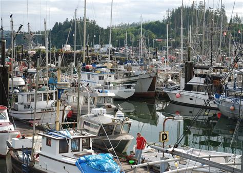 Visit Port Hardy On A Trip To Canada Audley Travel Uk