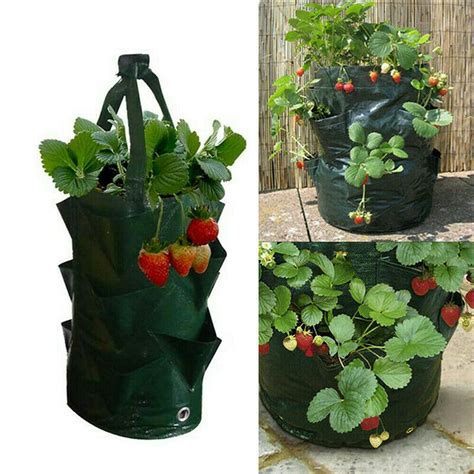 Grow Planting Bag Hanging Flower Baskets Garden Pouch Strawberry Herb