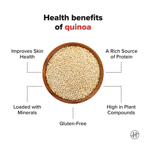 Quinoa 5 Health Benefits And Nutrition Value Healthifyme