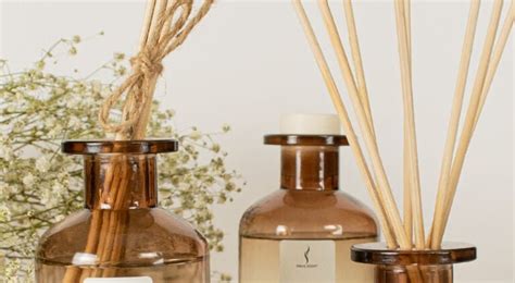 How To Choose The Best Reed Diffuser For Your Needs Snug Scent®