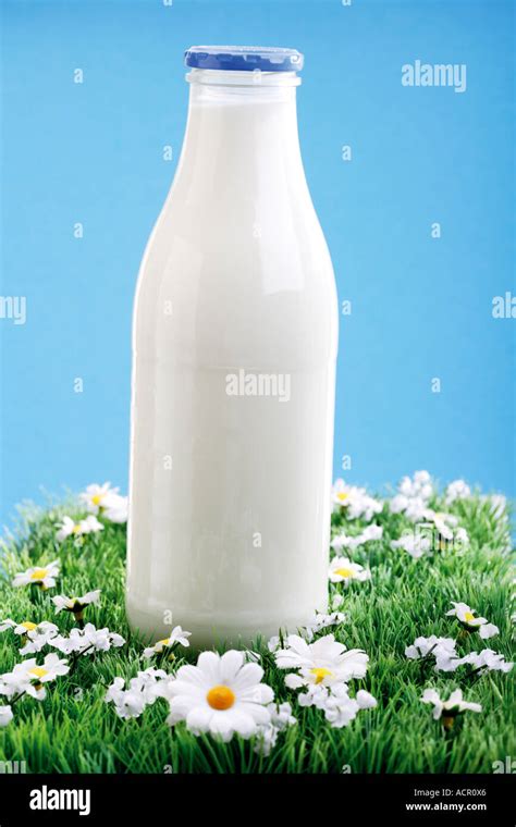 Bottle Of Milk Stock Photo Alamy