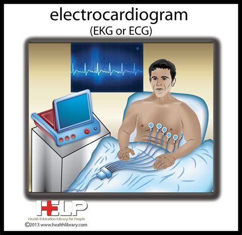 Electrocardiogram Ekg Or Ecg Ekg Nurse Cardiovascular