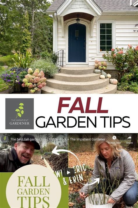 The Best Fall Garden Tips Gardenfork The Impatient Gardener