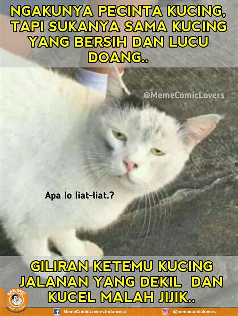 Maybe you would like to learn more about one of these? Gambar Meme Kucing Lucu Terbaru