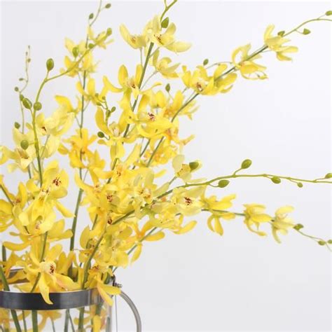 Luxury Silk Asian Style Oncidium Orchid Stem In Yellow Etsy Oncidium Orchids Oncidium Orchids